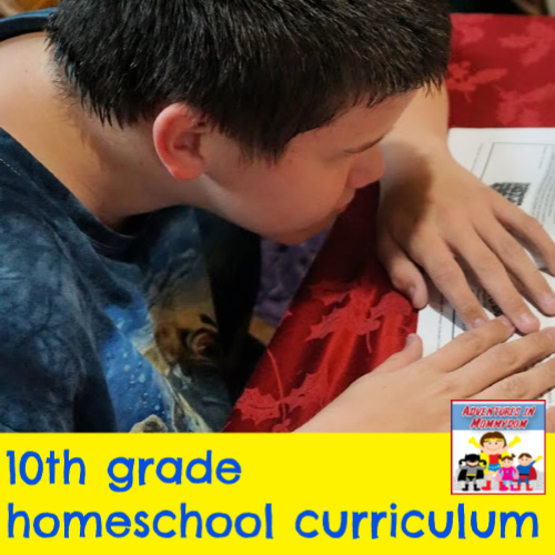 10th grade curriculum for homeschooling