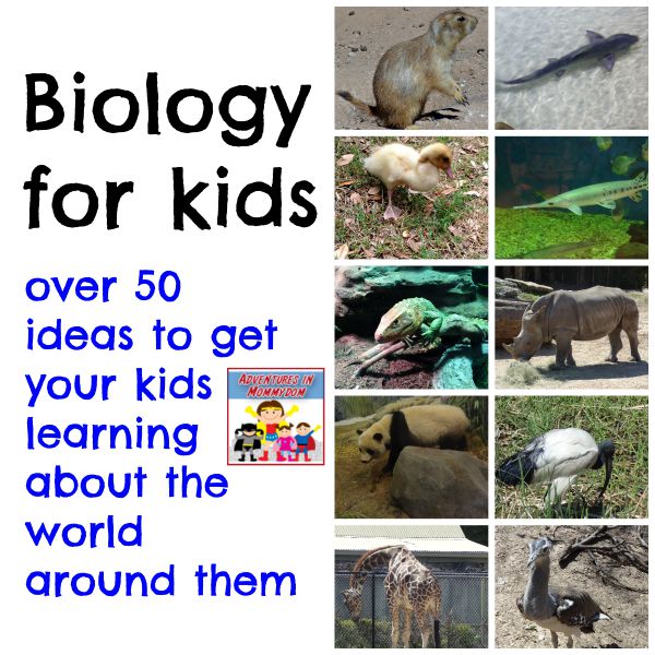 Biology for kids, over 50 ideas to get your kids learning about the world around them