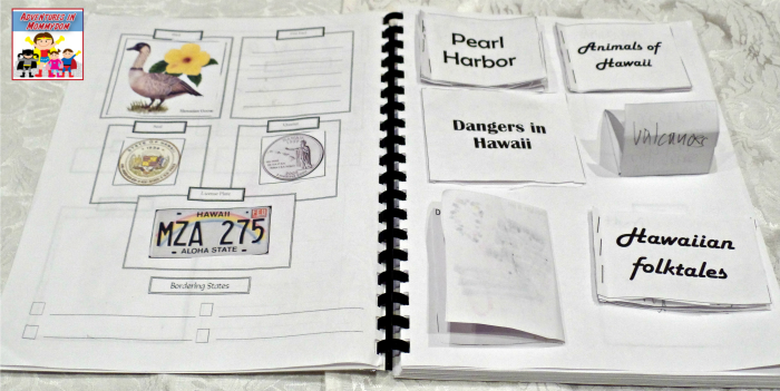 Hawaii lapbook and notebooking pages