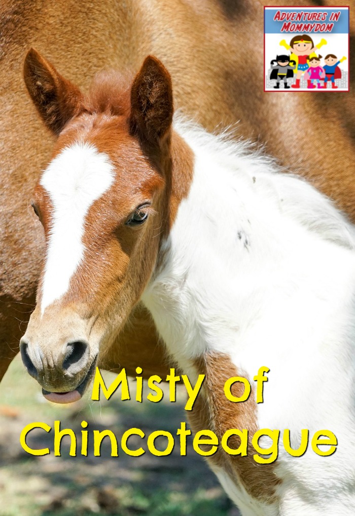 Misty of Chincoteague book and a movie night