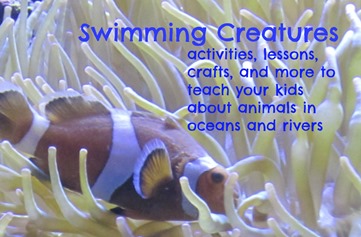 swimming creatures