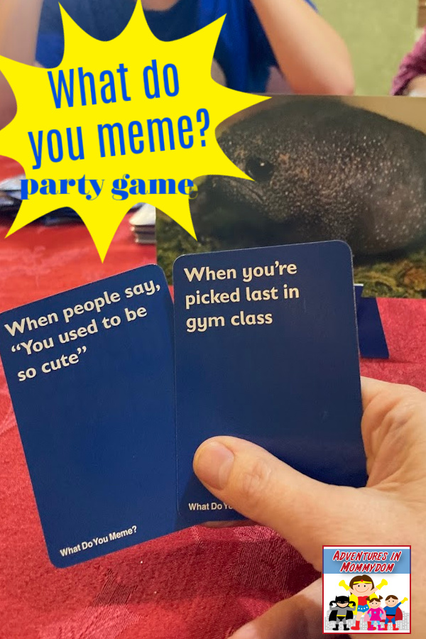 What do you meme party game for large groups