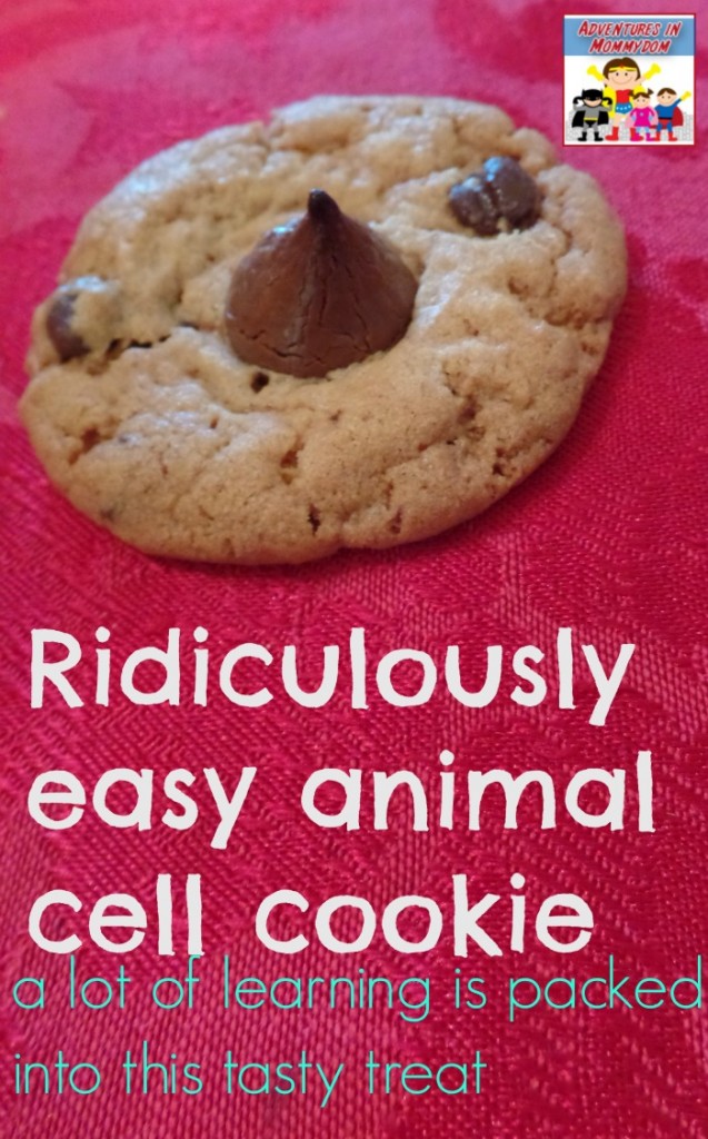 ridiculously easy animal cell cookie