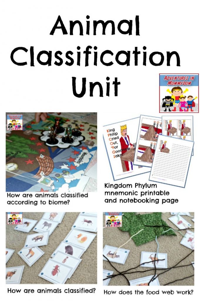 animal classification unit