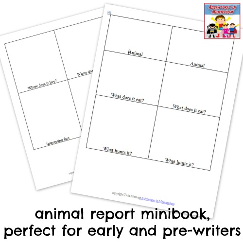 animal report minibooks for early writers